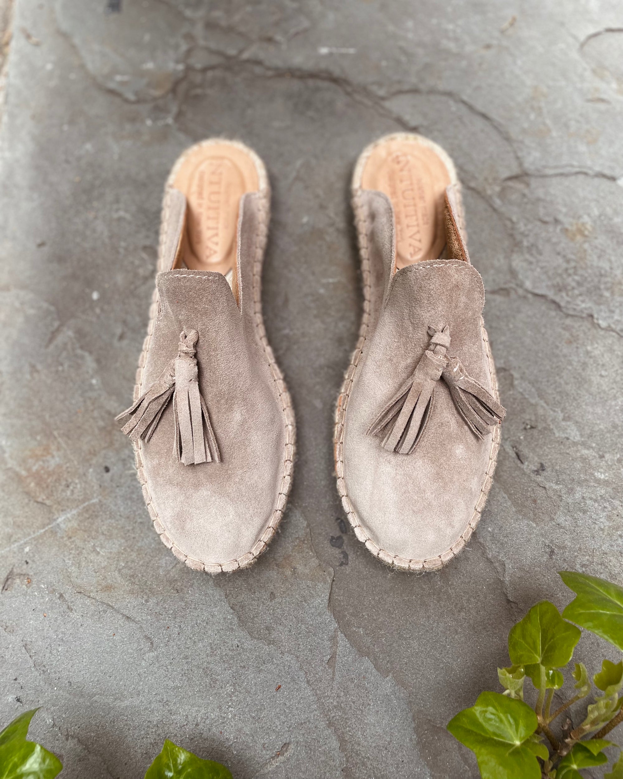 Papuccina Suede Mule | Women's