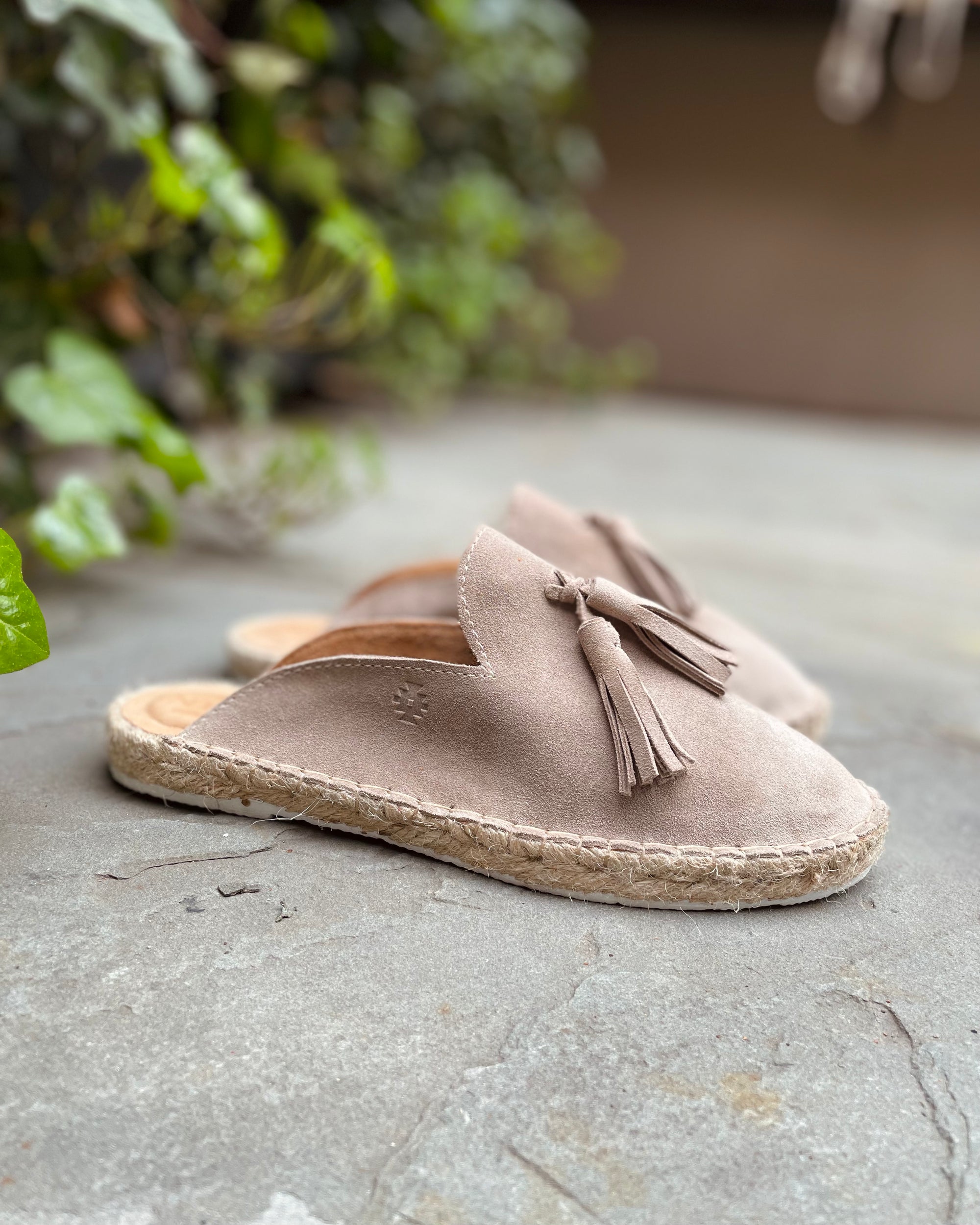 Papuccina Suede Mule | Women's
