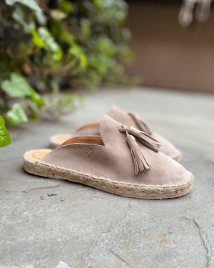 Papuccina Suede Mule | Women's