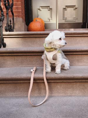 Vegetable tanned dog leash